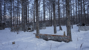 ������ ����������� ������