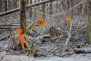 �������  23.11.14