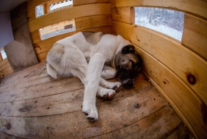 �������  23.11.14